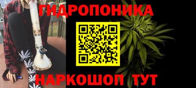 PSILOCYBIN Кулебаки