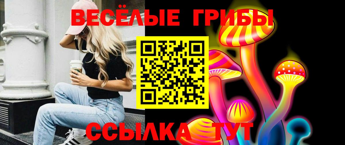 Карачаевск  Галлюциногенные грибы Magic Shrooms  Вход с VPN  Галлюциногенные грибы ЛСД 